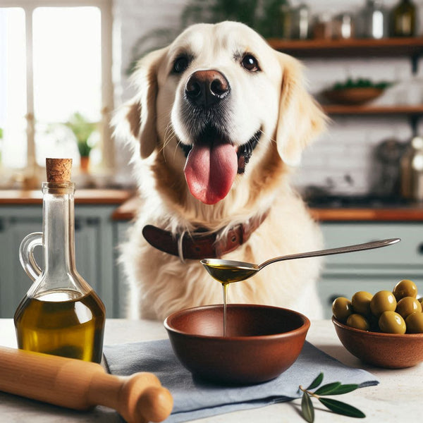 Is Olive Oil Safe for Dogs?